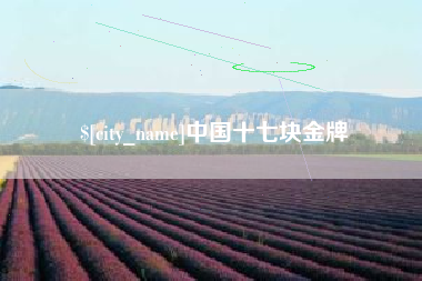 石河子中国十七块金牌