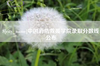 石河子中国消防救援学院录取分数线公布
