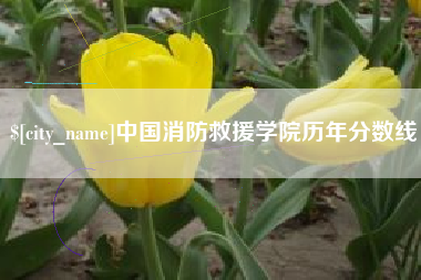 石河子中国消防救援学院历年分数线