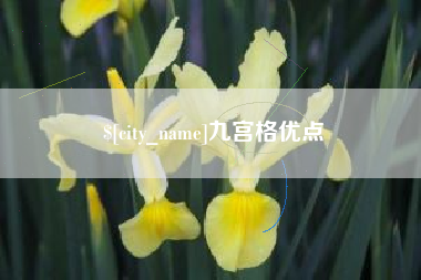 石河子九宫格优点