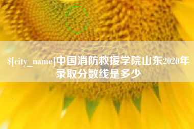 石河子中国消防救援学院山东2020年录取分数线是多少