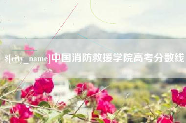 石河子中国消防救援学院高考分数线