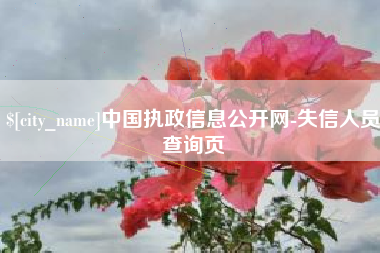 石河子中国执政信息公开网-失信人员查询页