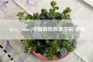 石河子中国消防救援学院 老师