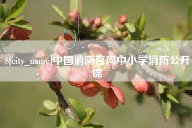 石河子中国消防官网中小学消防公开课