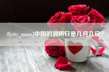 石河子中国的消防日是几月几日？