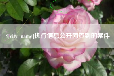 石河子执行信息公开网查到的案件