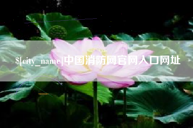石河子中国消防网官网入口网址