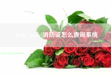 石河子消防证怎么查询系统