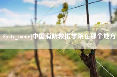 石河子中国消防救援学院在那个地方