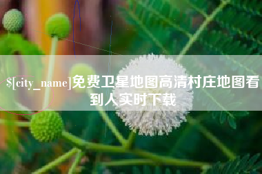 石河子免费卫星地图高清村庄地图看到人实时下载