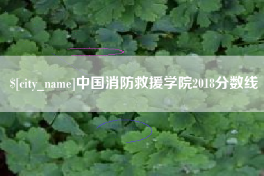 石河子中国消防救援学院2018分数线