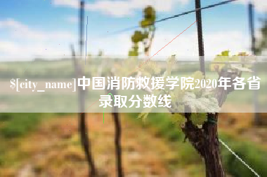 石河子中国消防救援学院2020年各省录取分数线
