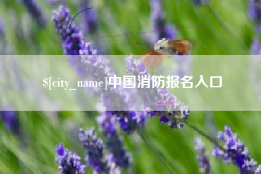 石河子中国消防报名入口