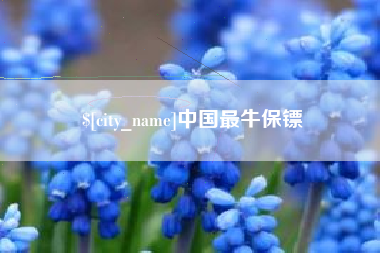 石河子中国最牛保镖