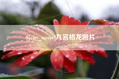 石河子九宫格龙图片