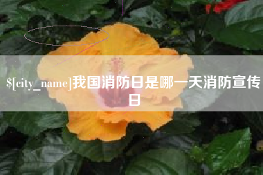 石河子我国消防日是哪一天消防宣传日