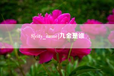 石河子九金是谁