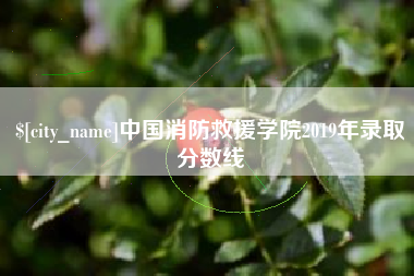 石河子中国消防救援学院2019年录取分数线