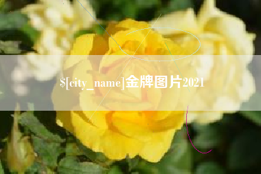 石河子金牌图片2021