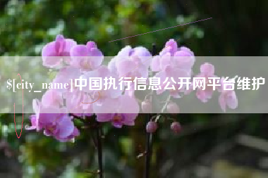 石河子中国执行信息公开网平台维护