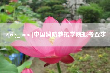 石河子中国消防救援学院报考要求
