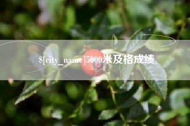石河子5000米及格成绩