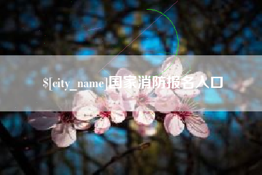 石河子国家消防报名入口