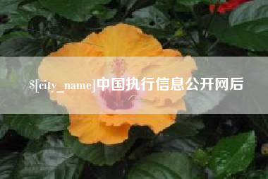 石河子中国执行信息公开网后