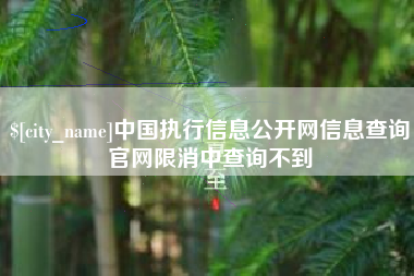 石河子中国执行信息公开网信息查询官网限消中查询不到