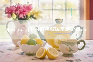 石河子中国消防救援学院分数2020