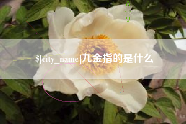 石河子九金指的是什么