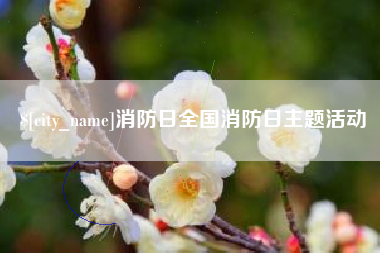 石河子消防日全国消防日主题活动