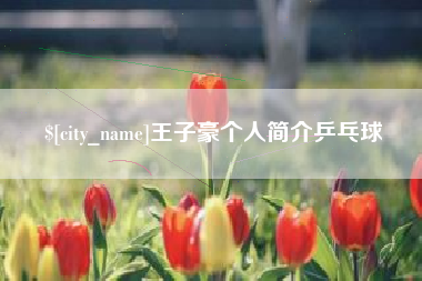 石河子王子豪个人简介乒乓球