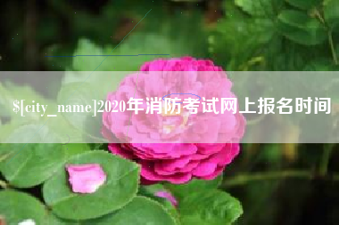 石河子2020年消防考试网上报名时间