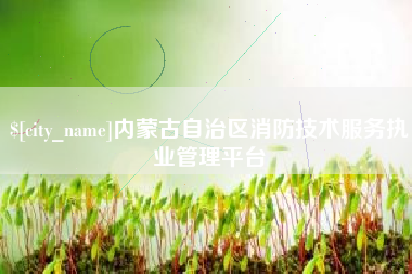 石河子内蒙古自治区消防技术服务执业管理平台