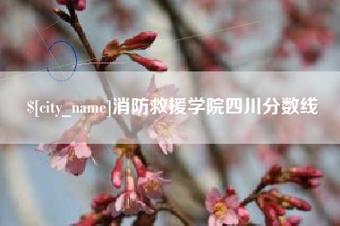 石河子消防救援学院四川分数线
