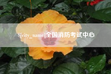 石河子全国消防考试中心