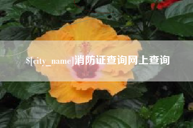 石河子消防证查询网上查询