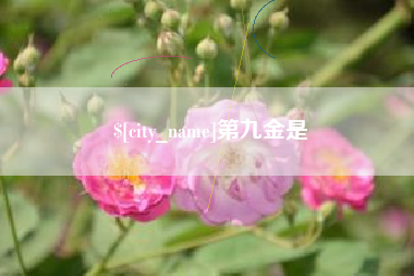 石河子第九金是