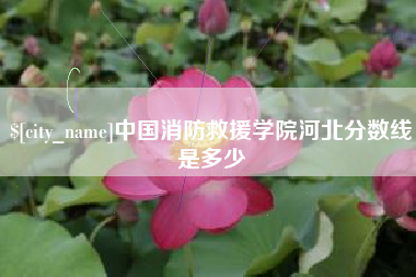 石河子中国消防救援学院河北分数线是多少