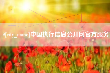 石河子中国执行信息公开网官方服务