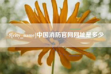 石河子中国消防官网网址是多少