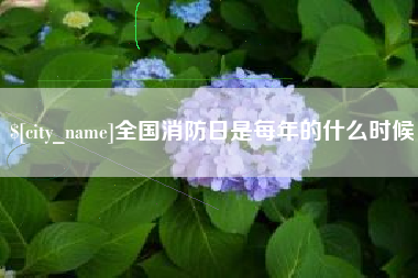 石河子全国消防日是每年的什么时候