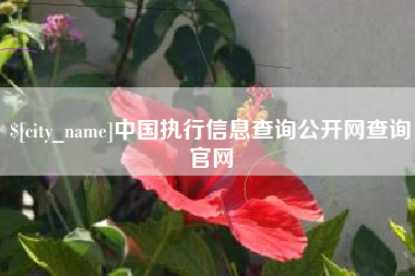 石河子中国执行信息查询公开网查询官网