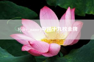 石河子中国十九枚金牌