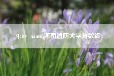 石河子河南消防大学分数线