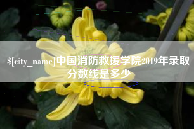 石河子中国消防救援学院2019年录取分数线是多少