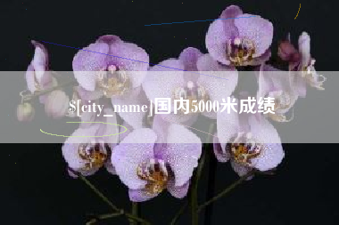 石河子国内5000米成绩