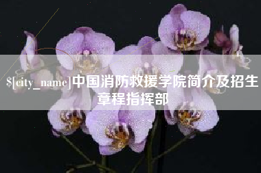 石河子中国消防救援学院简介及招生章程指挥部